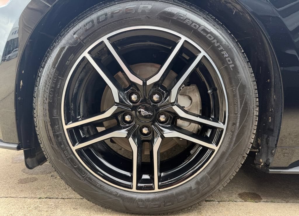 2019 Ford Mustang EcoBoost Premium